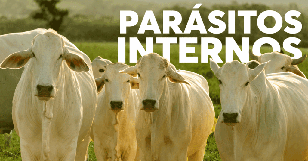 Parásitos Internos en Ganado de Producción de Leche: Un Enemigo Silencioso de la Rentabilidad